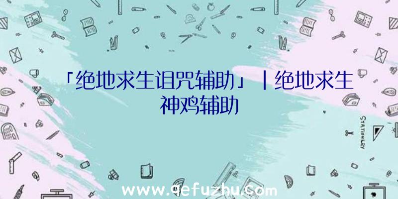 「绝地求生诅咒辅助」|绝地求生神鸡辅助